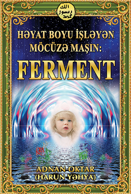Həyat Boyu İşləyən Möcüzə Maşin: Ferment